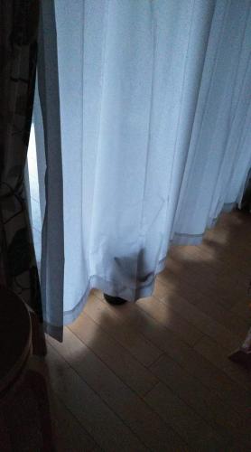 今世で大爆笑したことを教えてください。