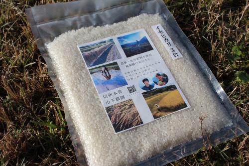 農薬・化学肥料不使用 天日干し 白米3号 品種イセヒカリ
