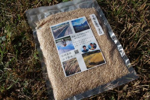 農薬・化学肥料不使用 天日干し 玄米3号 品種イセヒカリ