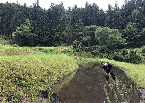 百姓仕事や農のことについてお話しします✨