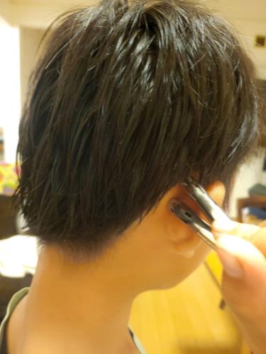 旅するテルミー