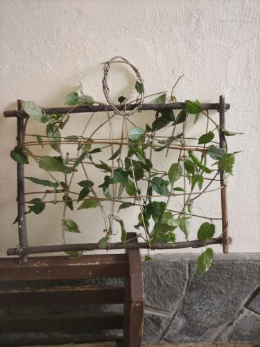 ティータイムトーク