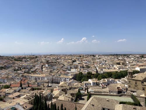 スペイン便りをお届けします