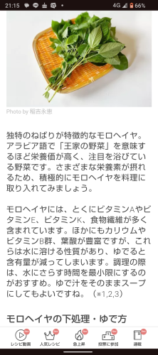 ズボラ家庭菜園にピッタリ!!モロヘイヤのタネ