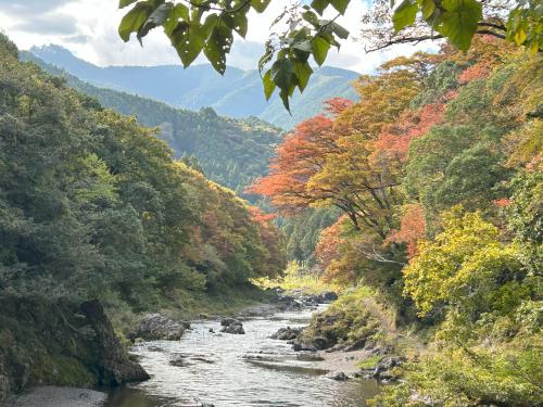 青梅市への移住相談　【1時間】