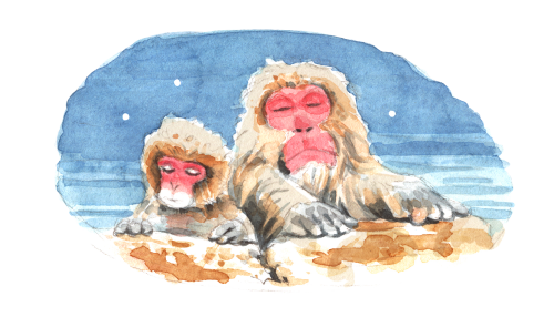 お話相手になります🐒